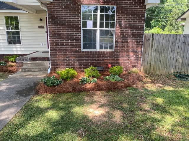 New garden bed with green plants and pine straw beside a brick home